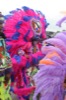 resIMG_20170402_131018_7251.JPG